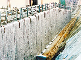 np_drain